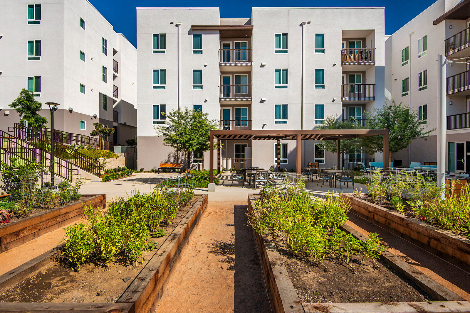 Rose Hill Courts _42 garden.jpg